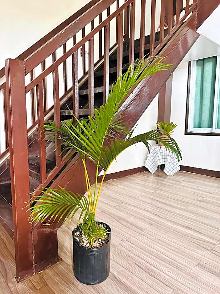 Close to the Airport, City Center, Accessible - Amancio's New Extension