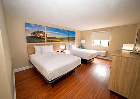 One-Bedroom Deluxe Queen Efficiency Suite - Non-Smoking