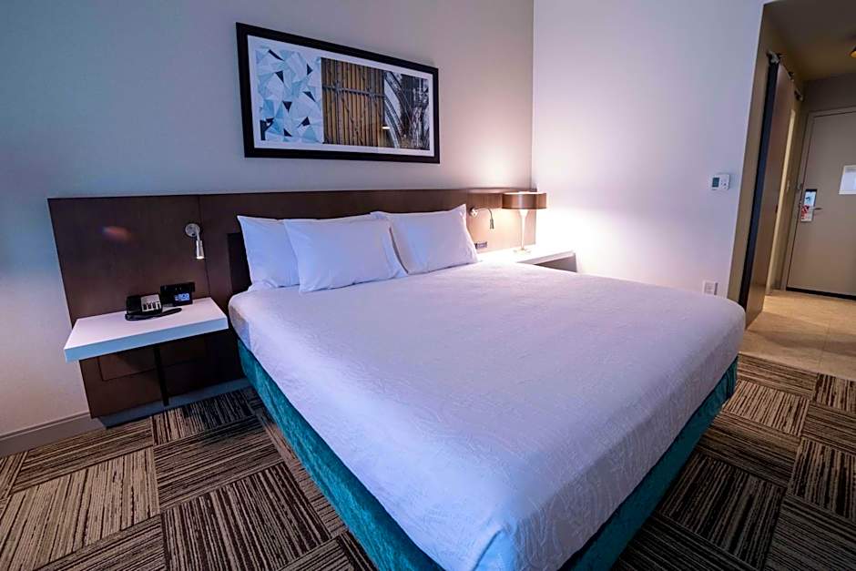 Hilton Garden Inn Spartanburg, Sc