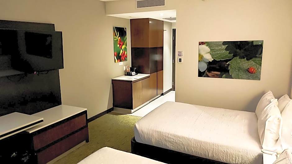 Hilton Garden Inn Puebla Angelopolis