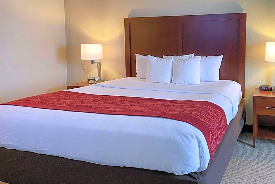 Comfort Inn & Suites Rogersville