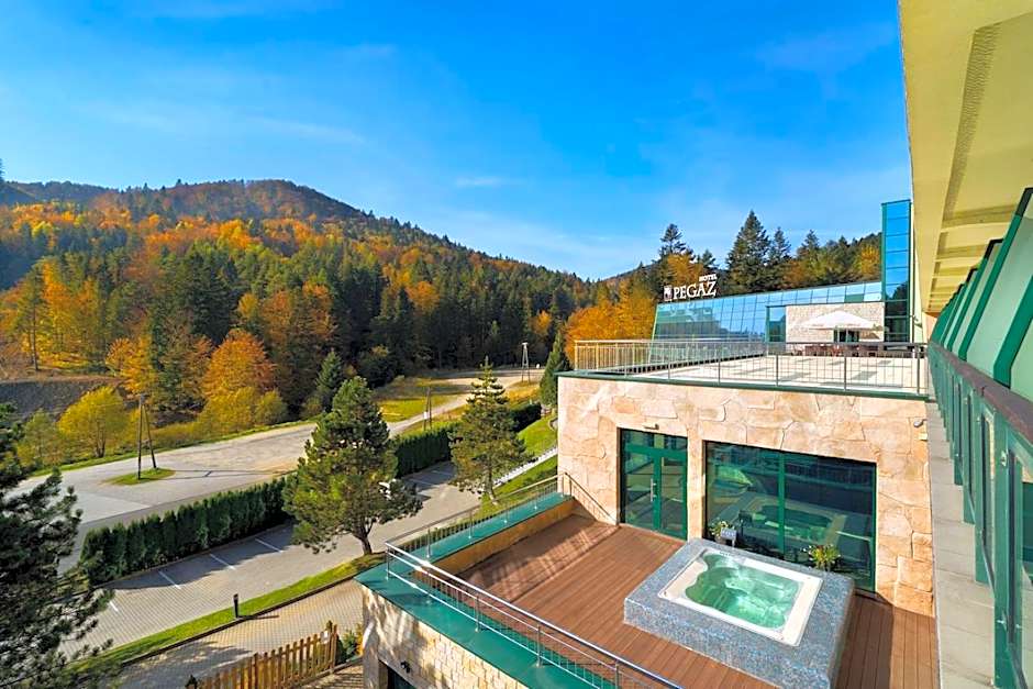 Hotel Pegaz