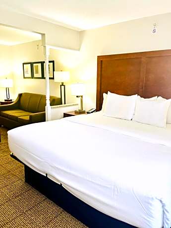 1 King Bed, Suite, Nonsmoking