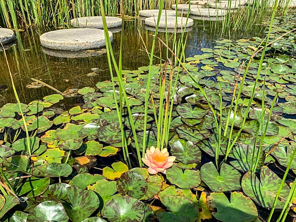 Hunguest Hotel Freya