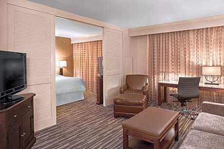 1 Bedroom Suite, 1 King, Sofa bed