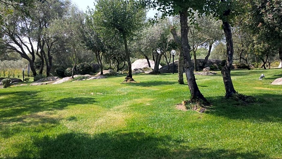 B&B Majore