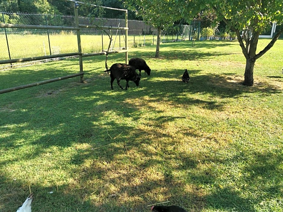 Bienvenue chez moi à Concevreux