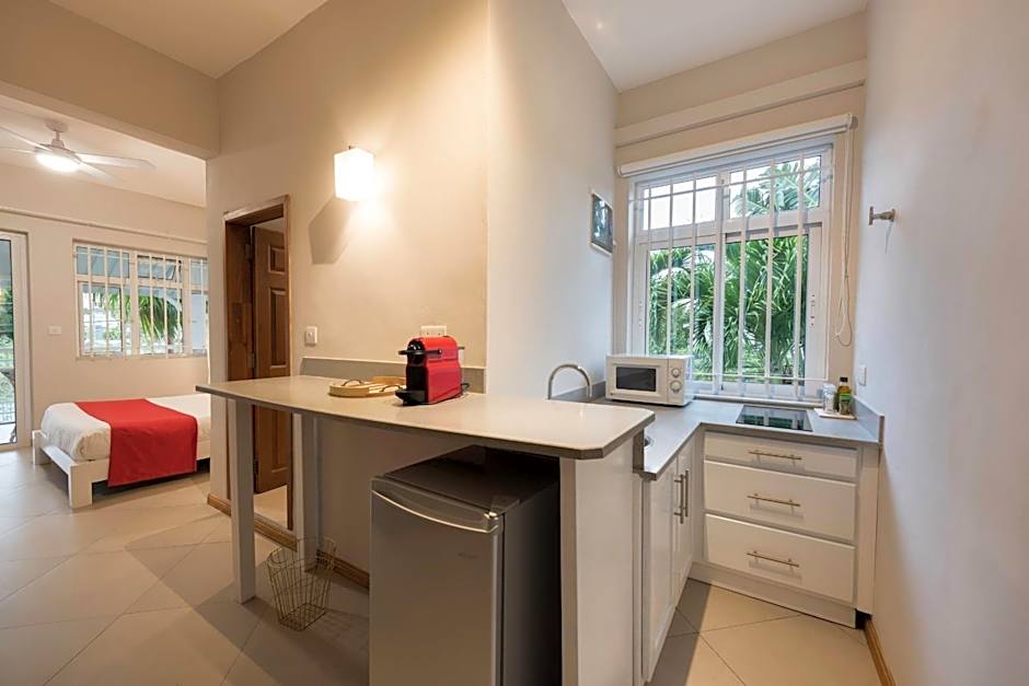 Kisana Residence - Studio with spacious balcony shared pool garden