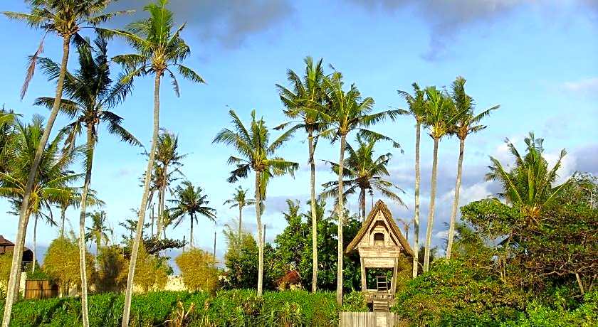 Jonsen Homestay