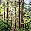 Salishan Coastal Lodge