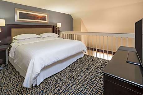 Larger Guest room, 1 King, Sofa bed, Courtyard view