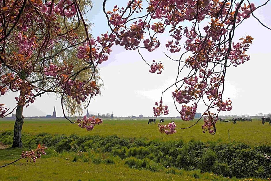 Hotelhuisjes Medemblik