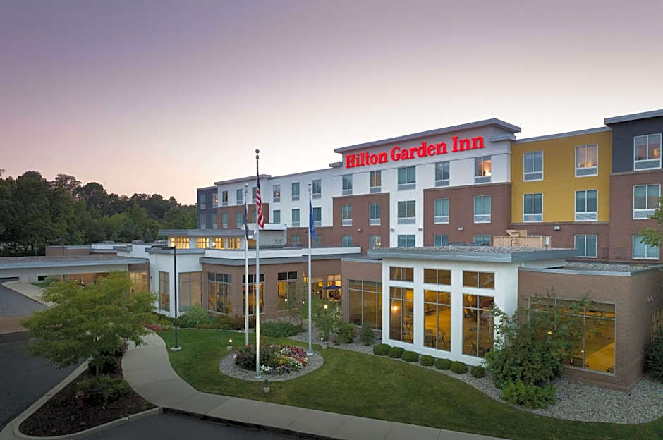 Hilton Garden Inn Ann Arbor