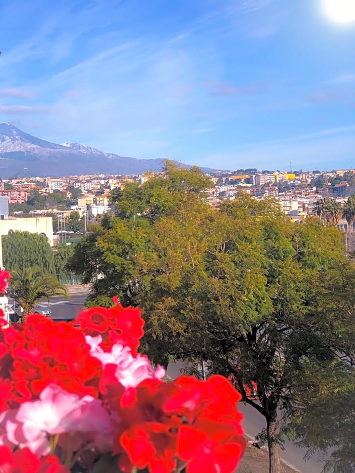 B&B Policlinico Gaspare Rodolico