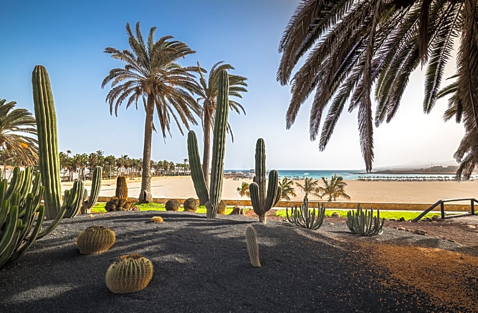 Barcelo Fuerteventura Royal Level adults only