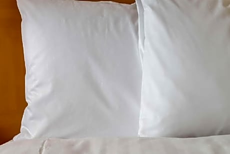 1 Bedroom 1 King Family Suite