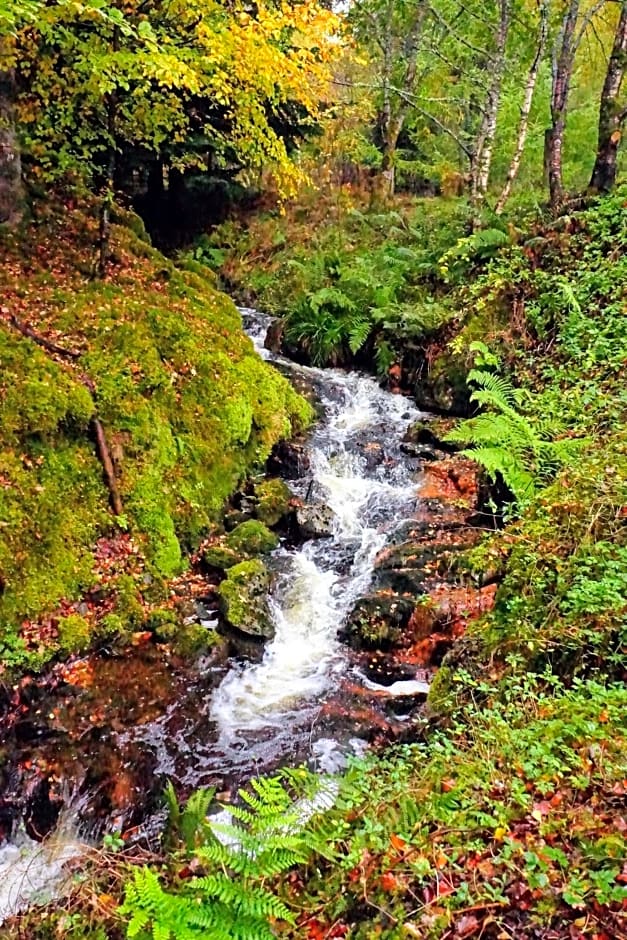 Waterfall Lodge - private waterfall and sauna