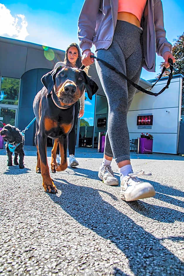 Mercure Chester Abbots Well Hotel