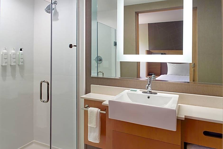 SpringHill Suites by Marriott Atlanta Northwest