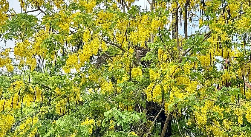 Villa Phathana Boutique Hotel