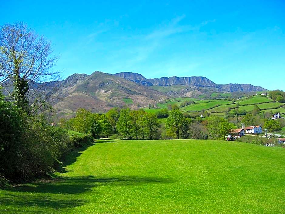 Manexenea