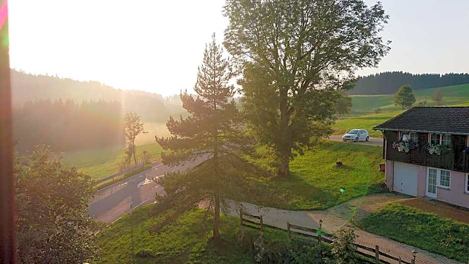 ZUR TRAUBE Schwarzwaldhotel & Restaurant am Titisee