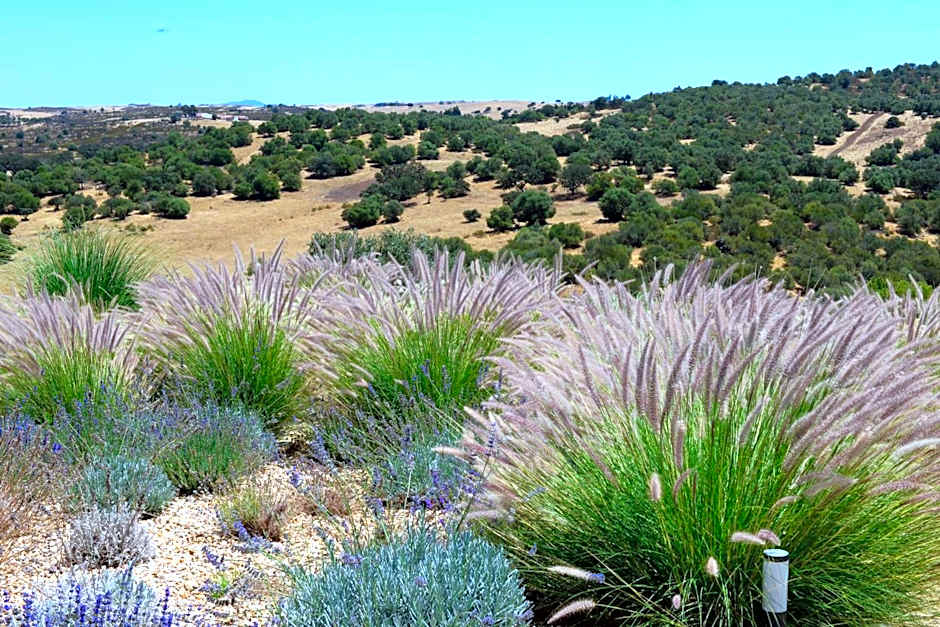 Vistas - Herdade do Zambujal