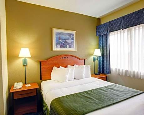 1 Queen Bed and Sofabed - No Smoking