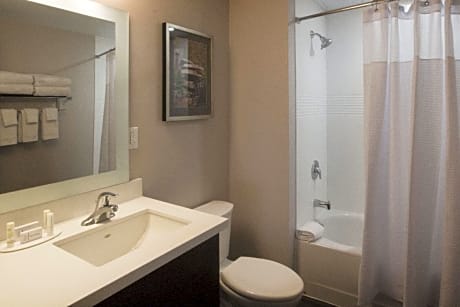 Suite, 1 Bedroom (1 Queen Bed and 1 Double Sofa Bed)