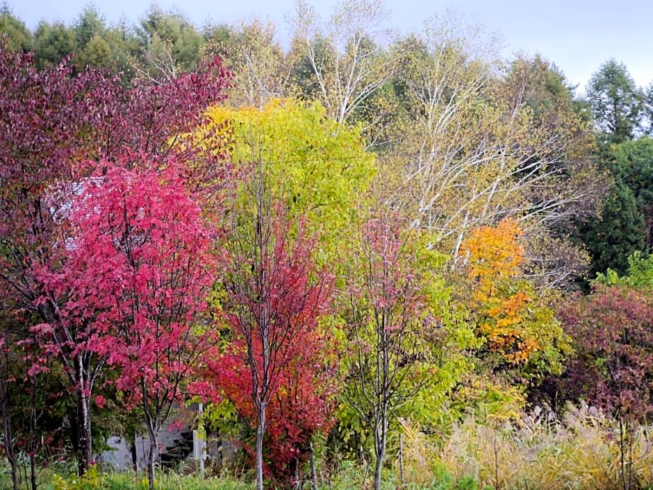 Pension Green Field