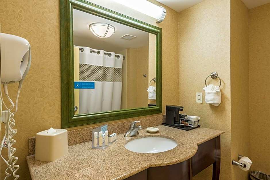 Hampton Inn By Hilton & Suites Orlando-South Lake Buena Vista