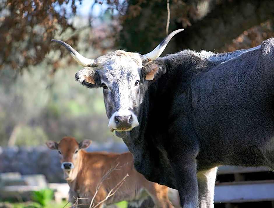 Masseria San Paolo Grande