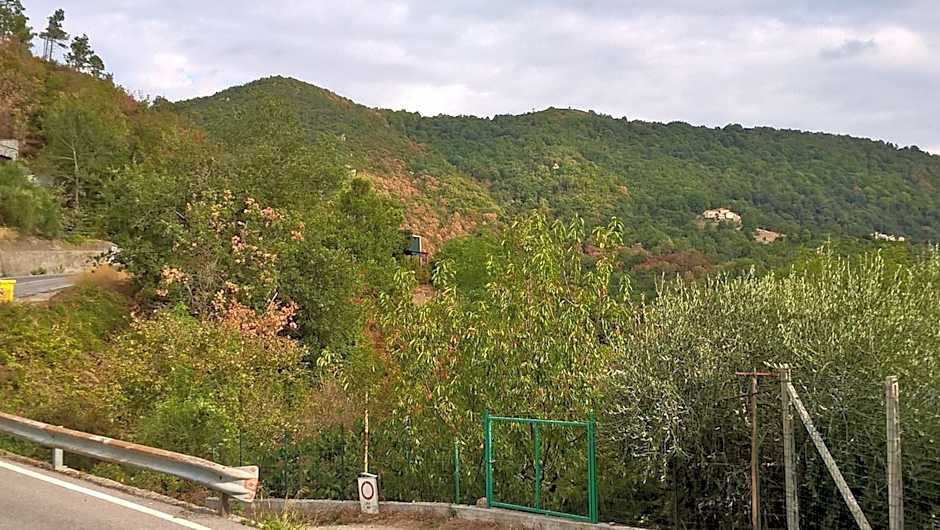 B&B Elfo degli Ulivi