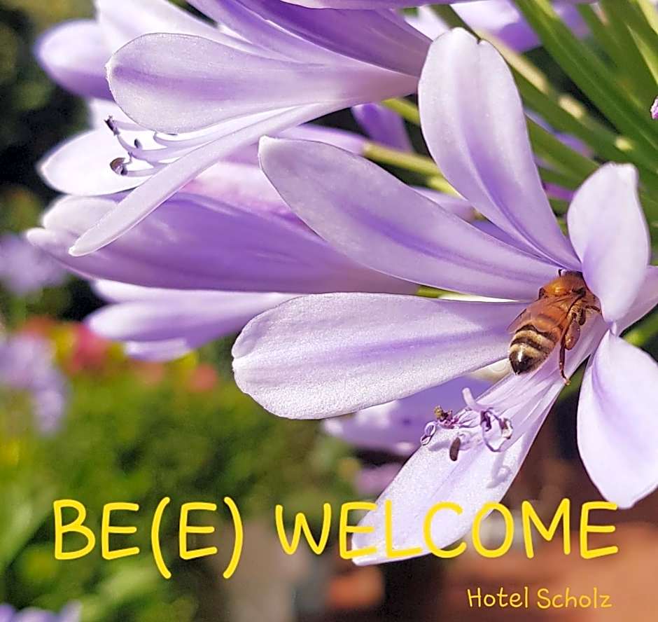 Hotel Scholz
