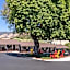 Peach Tree Inn