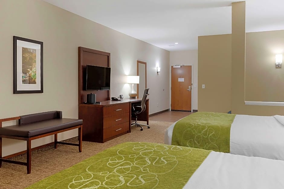Comfort Suites Greenville South