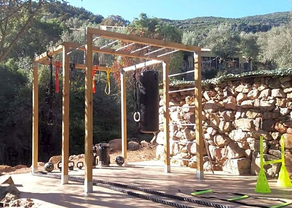 L'oliveraie du Fango