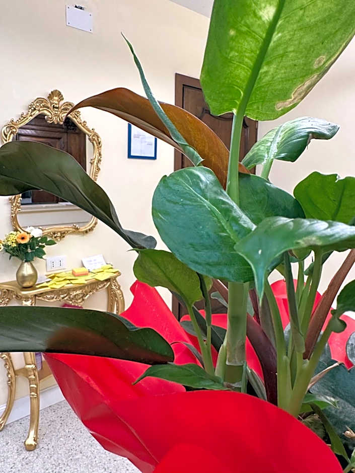 Guest House Train Station