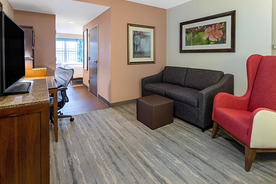 Hilton Garden Inn Roanoke