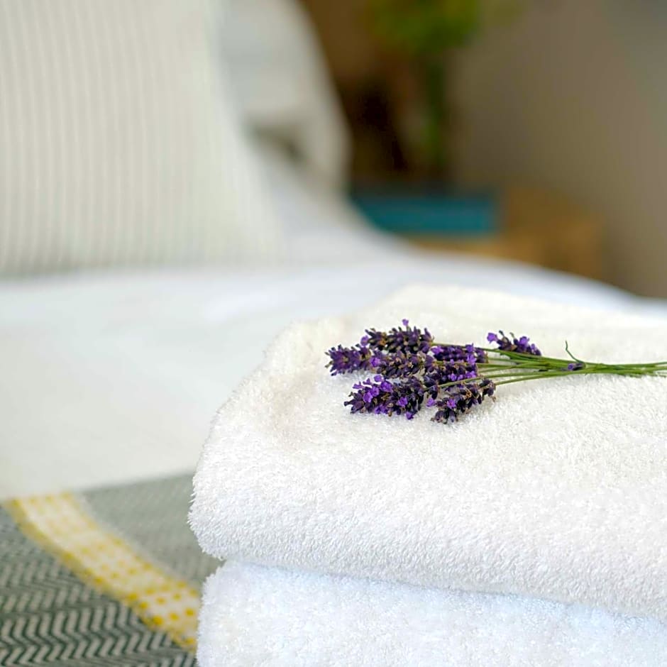 Bird & Carter Fonthill