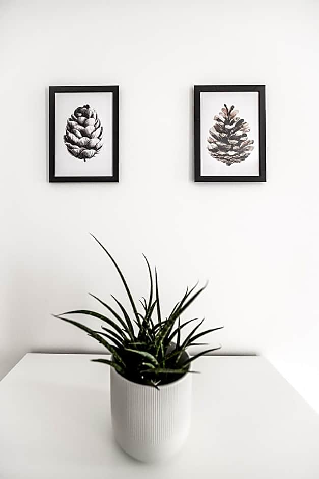 Quercus Appartements contactless check-in