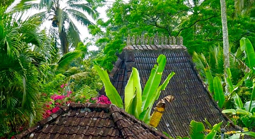 Bali Mountain Retreat