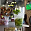 26° South Bush Boho Hotel