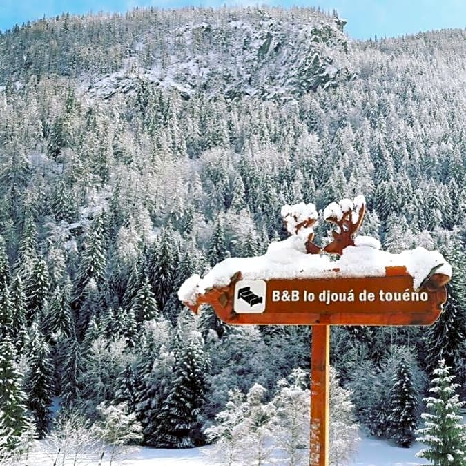 B&B Lo Djoua de Toueno
