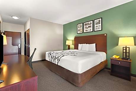 Standard King Room - Non Smoking