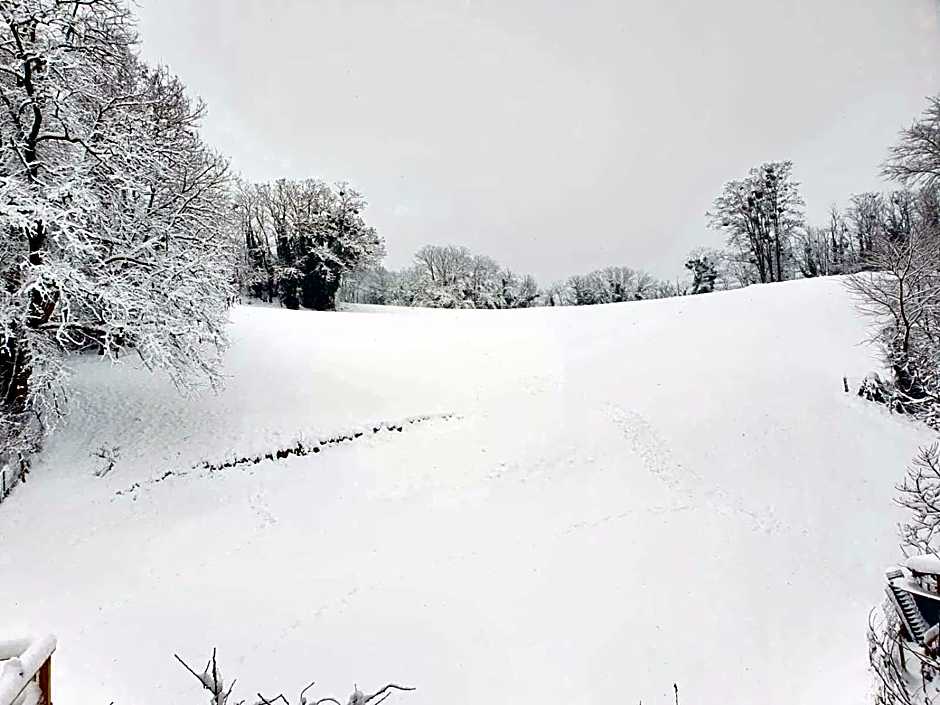 Le Lodge du Pichat