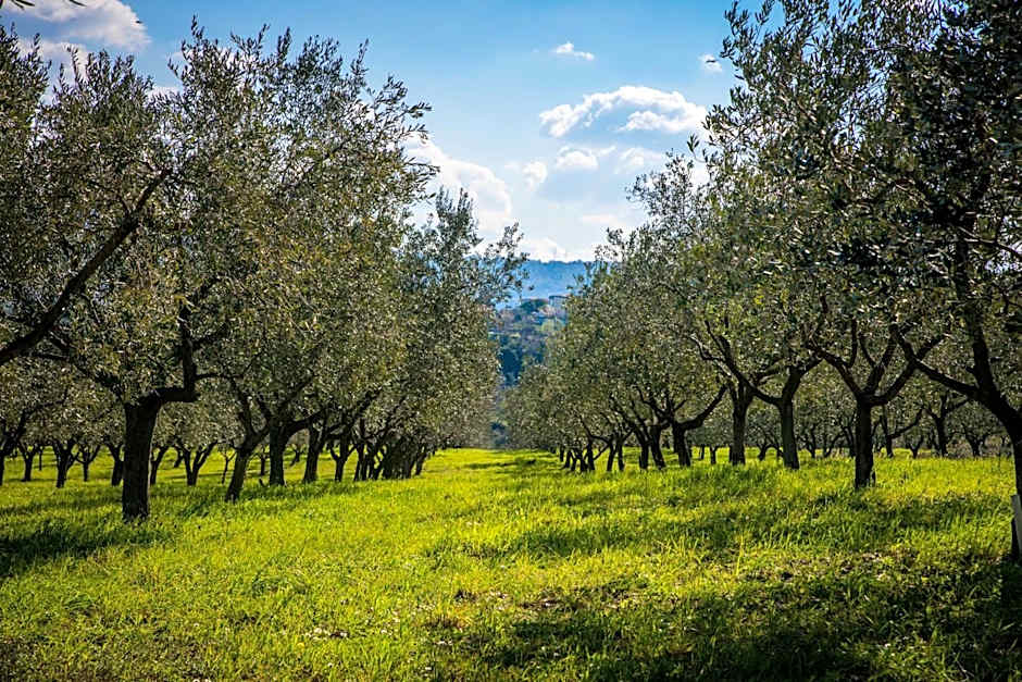 Hotel Cliff Belvedere