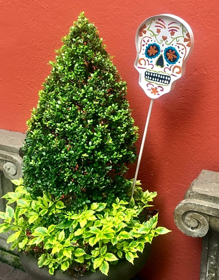 Residence Las Trojes Cdmx