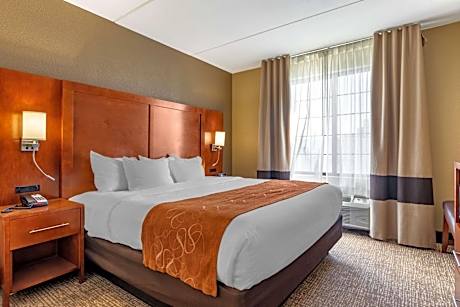 Deluxe King Suite - Non Pet Friendly