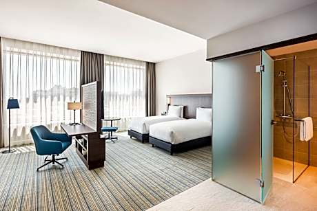 Superior Guest room Twins City view